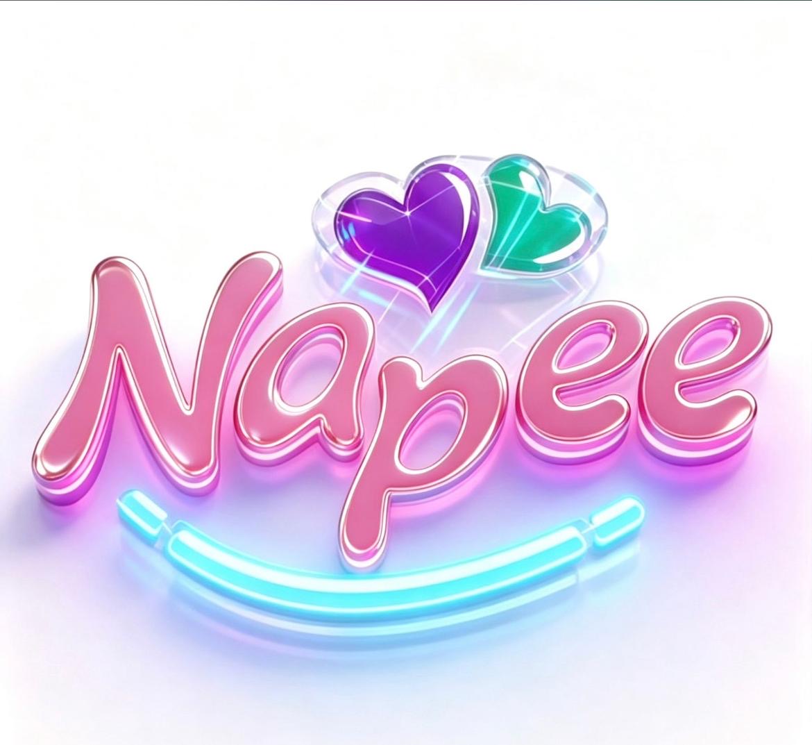 Logo Napee